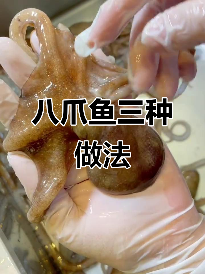 八爪鱼三吃大挑战,麻辣、海胆炒饭全搞定