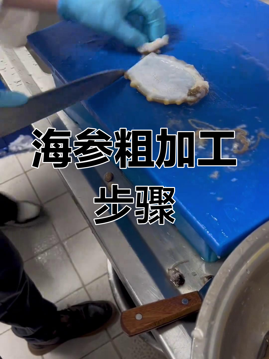 活海参刺身处理技巧大揭秘,轻松刮去内脏与苦味