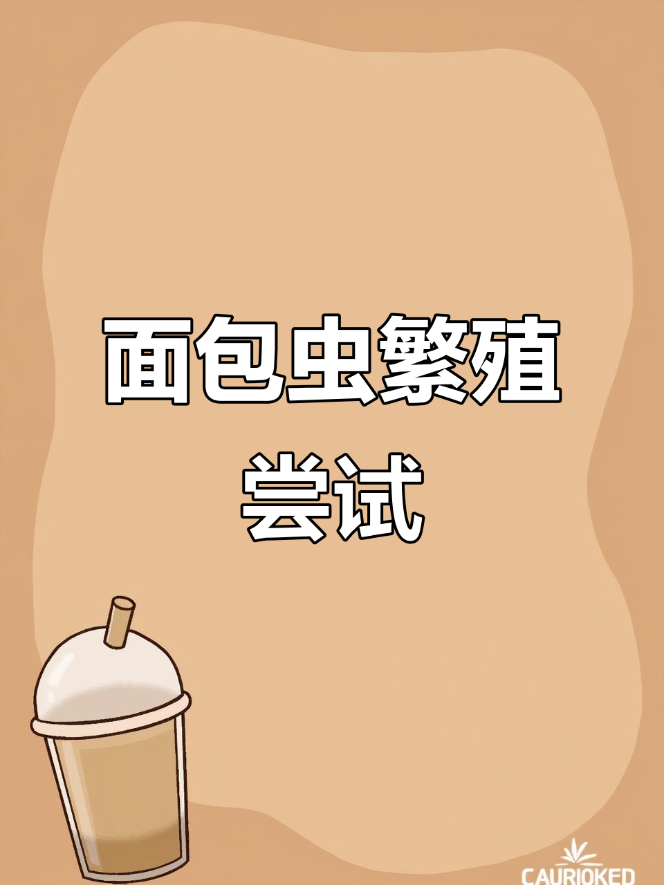 面包虫繁殖实验:用面粉替代麦麸,看看能否成功产卵