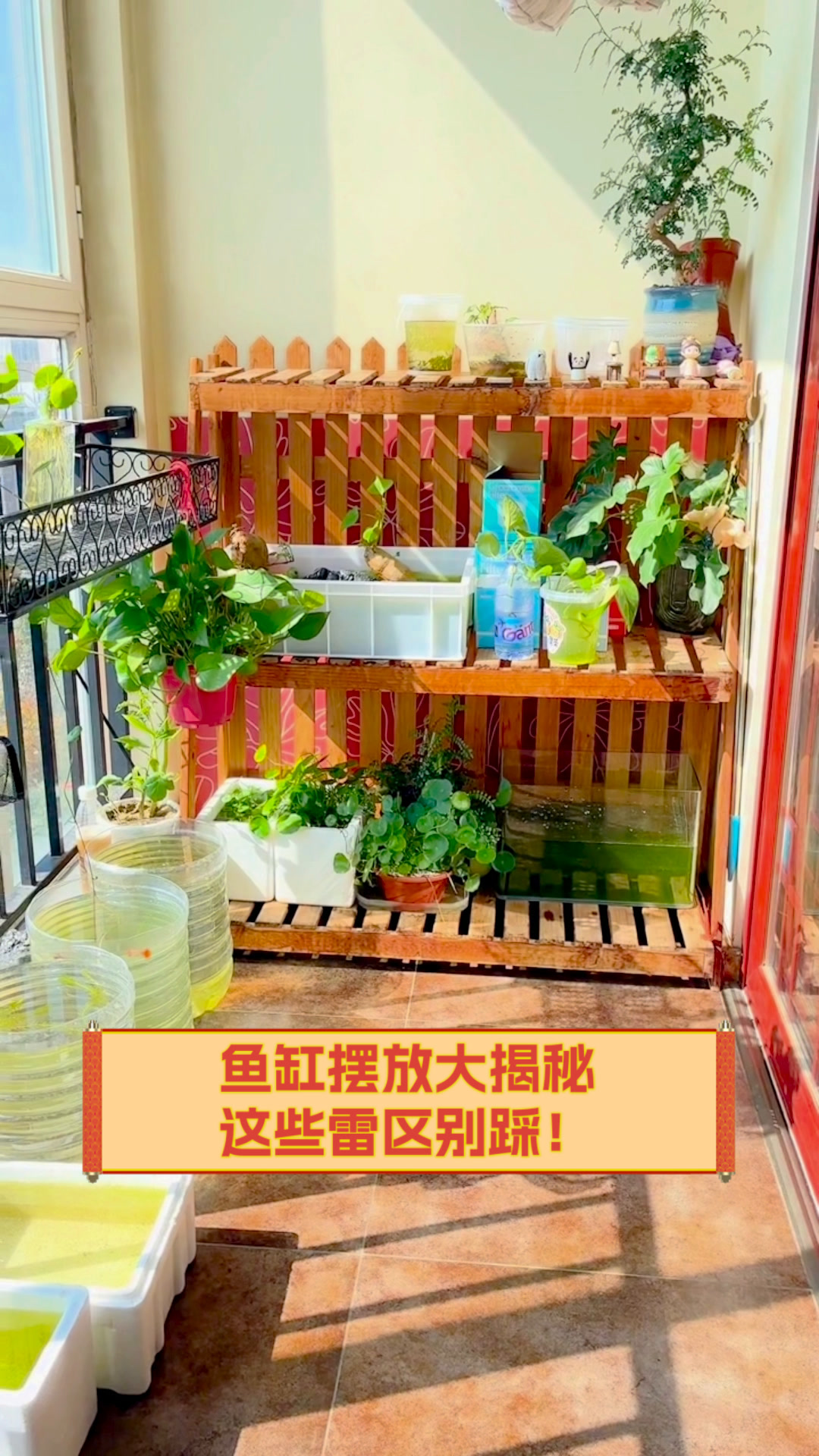 鱼缸摆放大揭秘,这些雷区别踩!