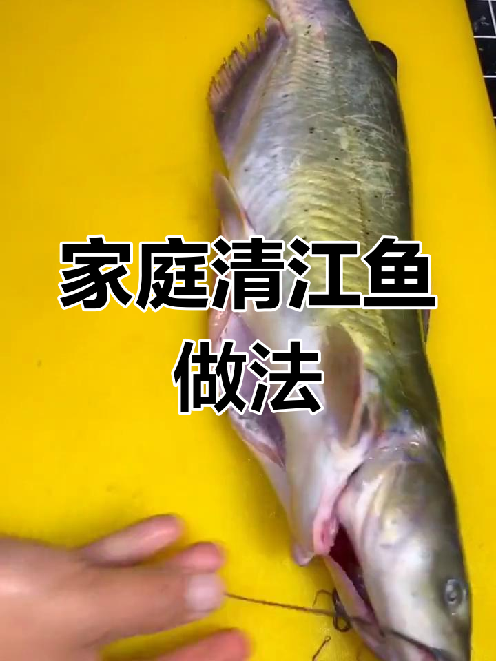 清江鱼炖法,汤浓味美