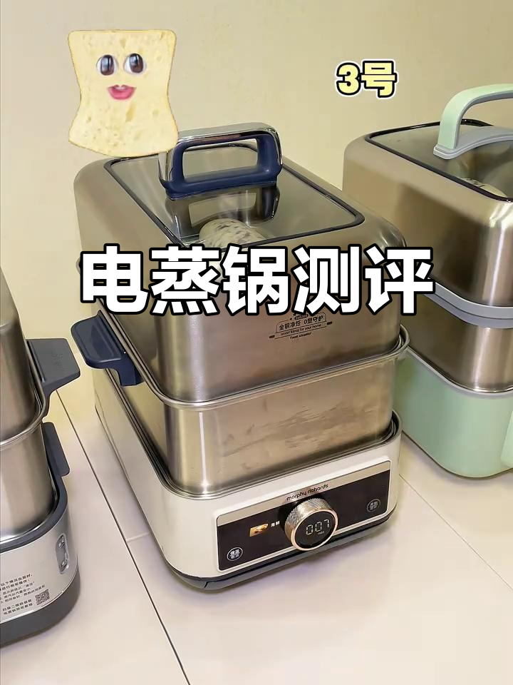 电蒸锅大比拼，上汽速度、炖煮效果全解析！