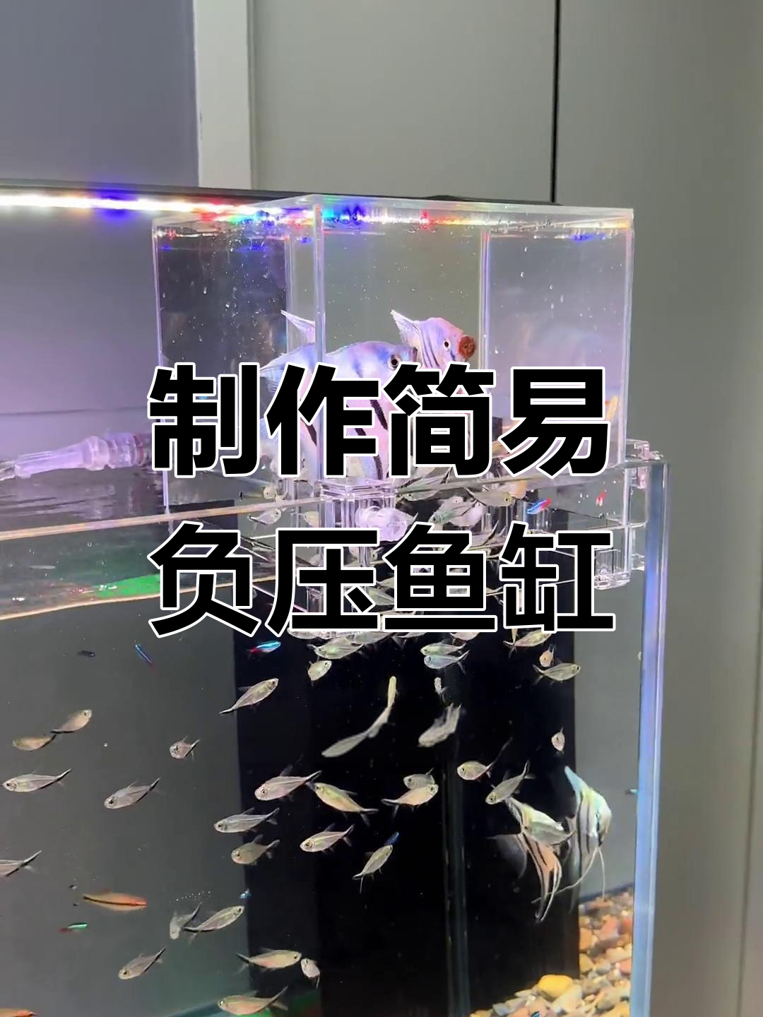 用闲置鱼缸做负压实验,三种排气方法大揭秘