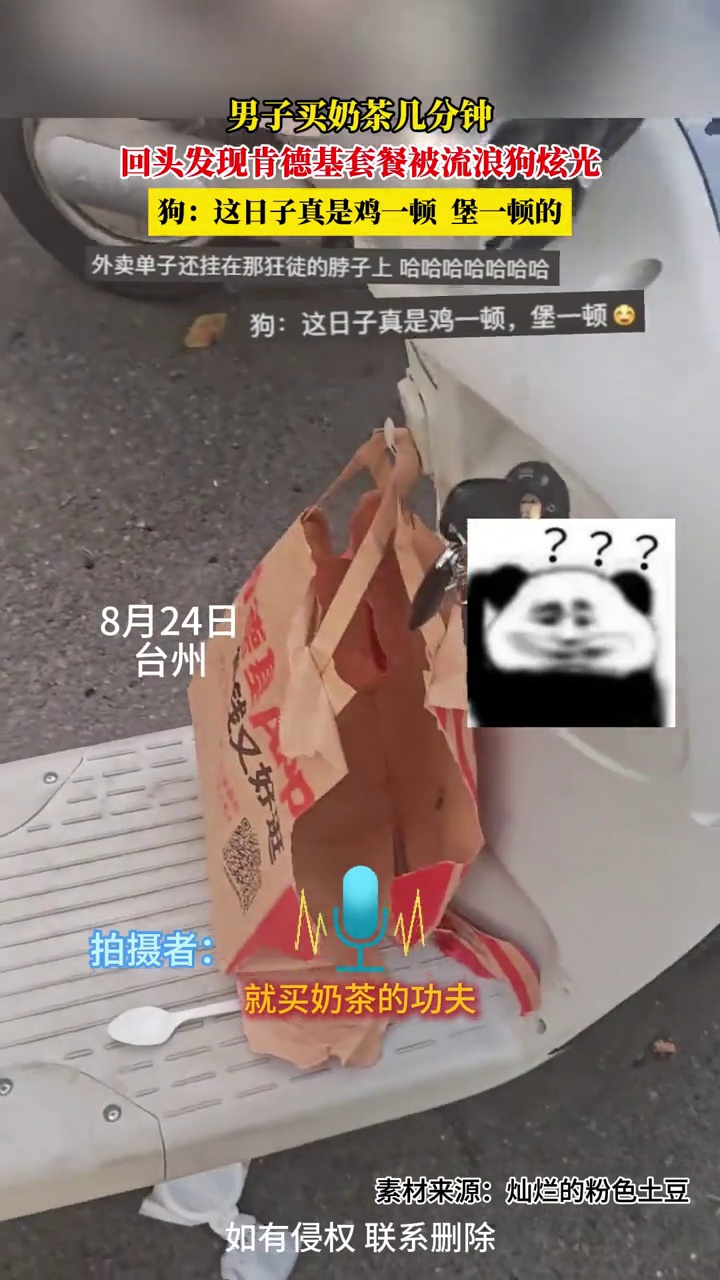 男子买奶茶几分钟，回头发现肯德基套餐被流浪狗炫光：还懂撕包装
