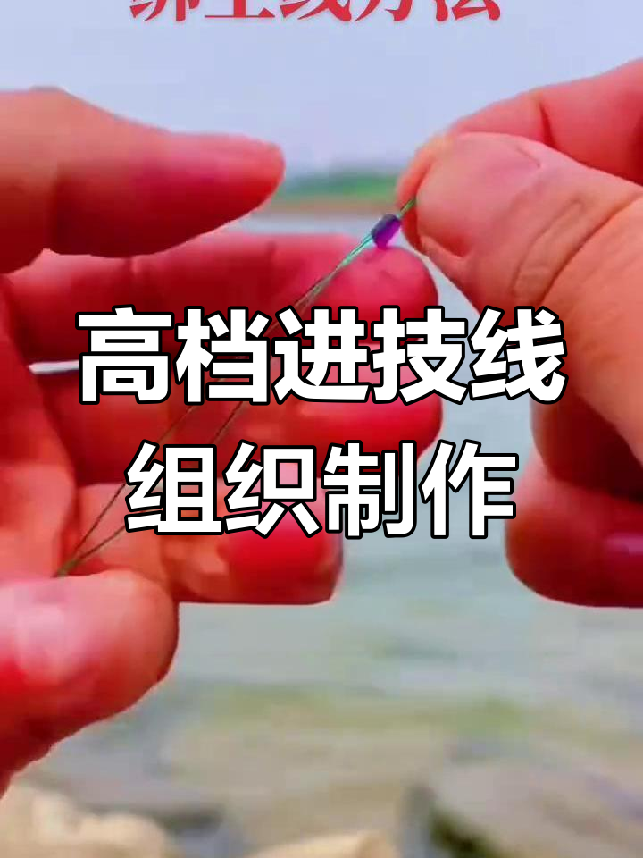 鱼线绑法全攻略:从主线到八字环,轻松掌握钓技技巧