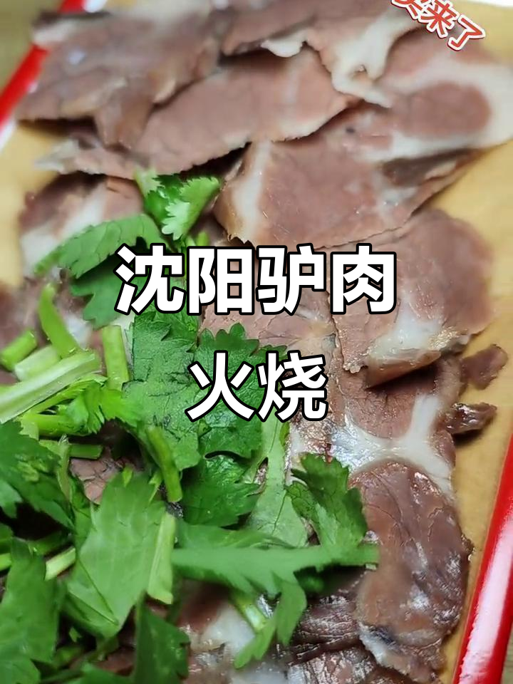 沈阳驴肉火烧,口感细腻不膻,搭配香脆烧饼让你停不下来