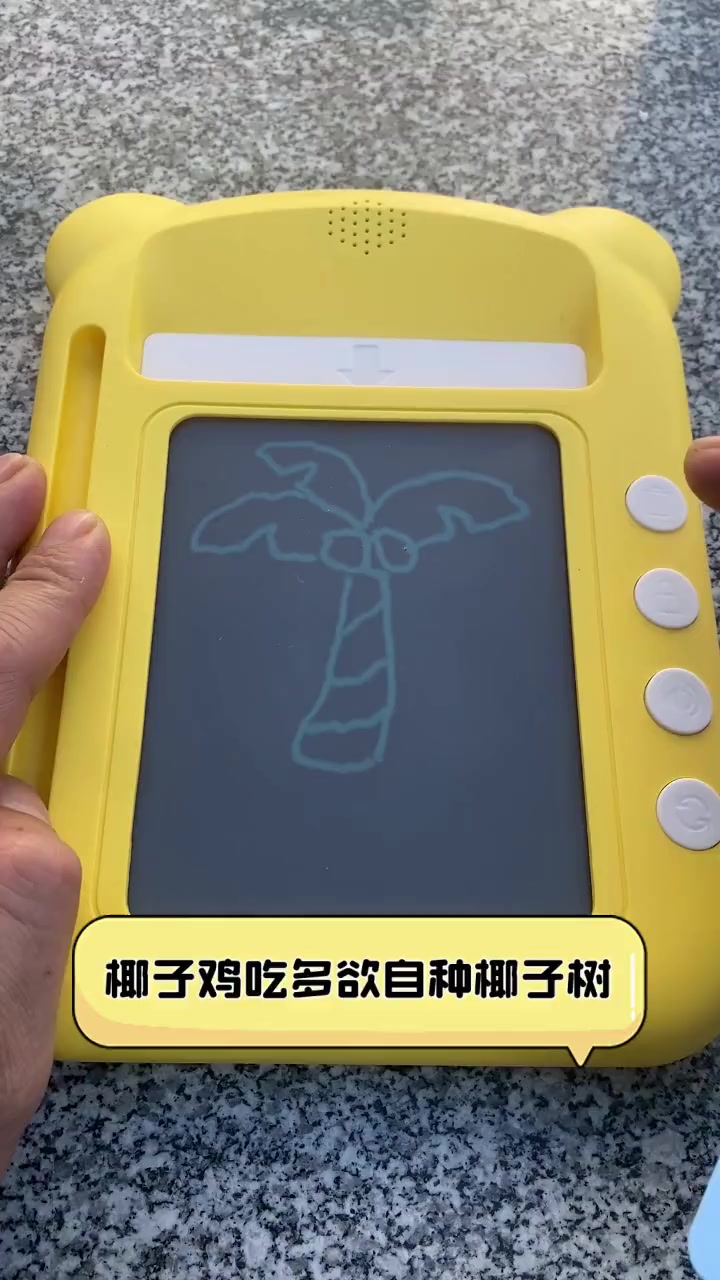 椰子鸡吃多欲自种椰子树