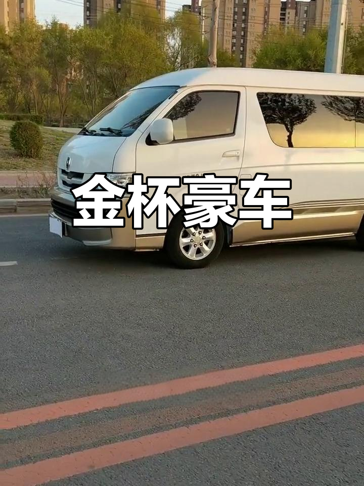 2018款金杯海狮,9座铝轮豪华配置,全年保险