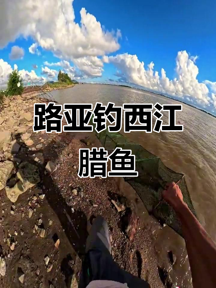 西江黄立鱼野钓，地笼层层包围，路亚挑战极限