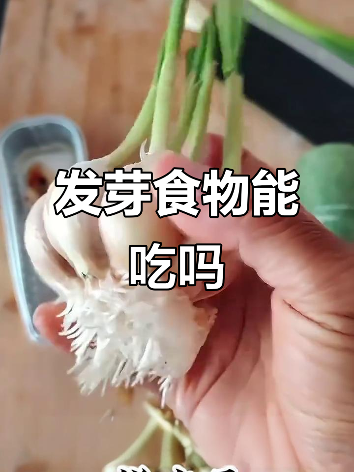 这些食物发芽了还能吃吗?土豆、生姜和西红柿的答案大揭秘