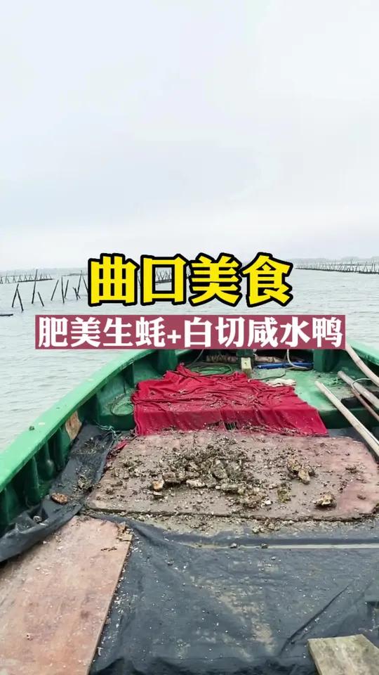 在距离海口城区30公里的演丰,特色美食真不少啊,其中曲口生蚝+演丰咸水鸭,很棒!来了千万别
