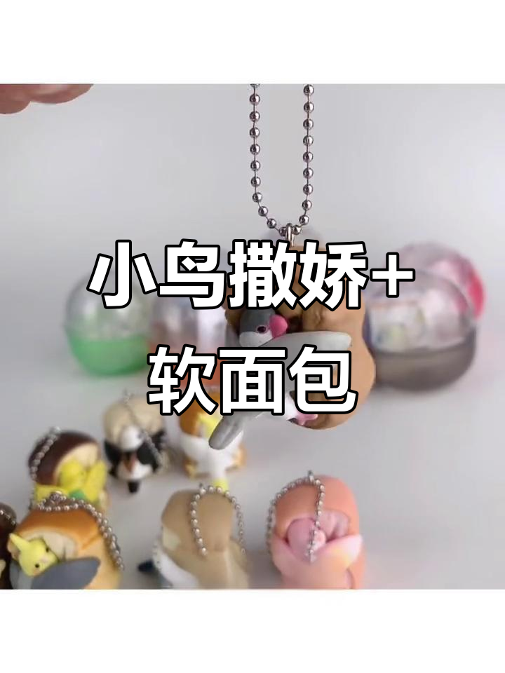 撒娇小鸟与香甜面包,隐藏款玄凤鹦鹉太可爱了