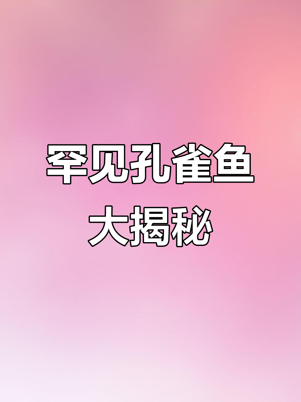这12种孔雀鱼,你见过几种?快来分享你的养鱼经验!
