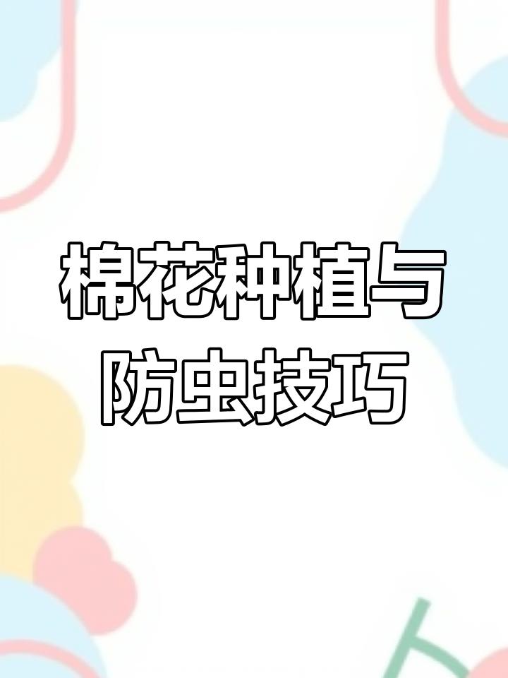 棉花种植小技巧,病虫害防治全攻略