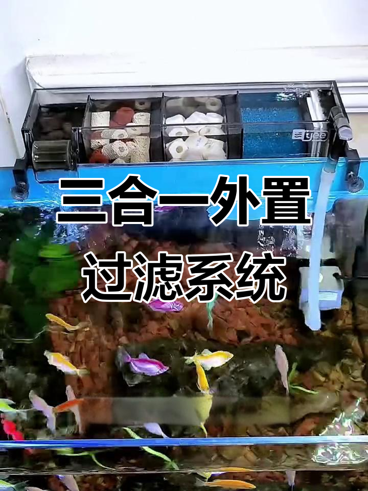外置滴流盒过滤器，三合一设计让鱼缸更美观