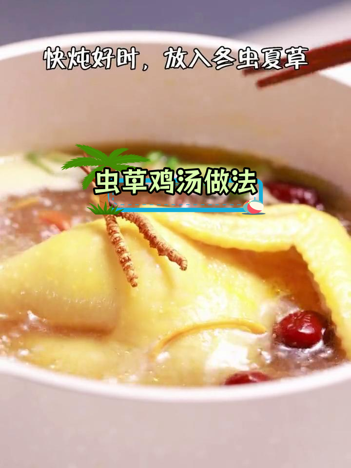 冬虫夏草炖鸡汤,滋补又美味