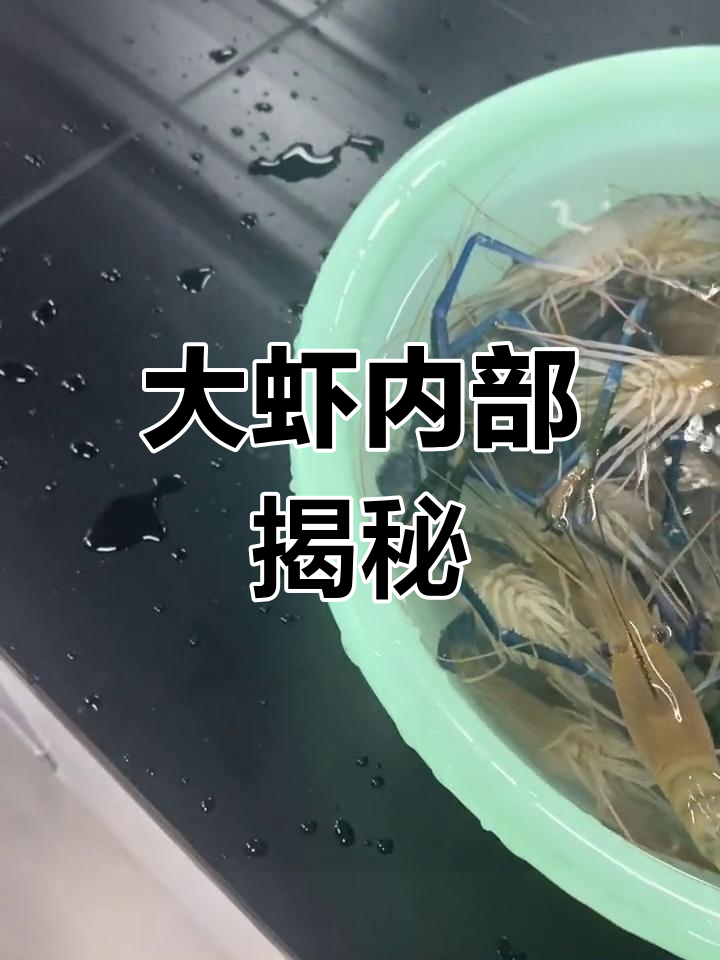 解剖大虾,探索奇妙结构