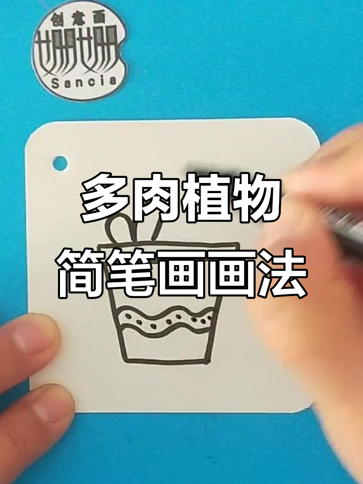 轻松画出可爱多肉植物,简笔画教程来啦!