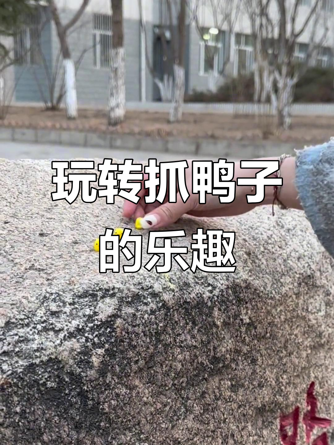 抓鸭子游戏大作战,看看谁能更快抓住!