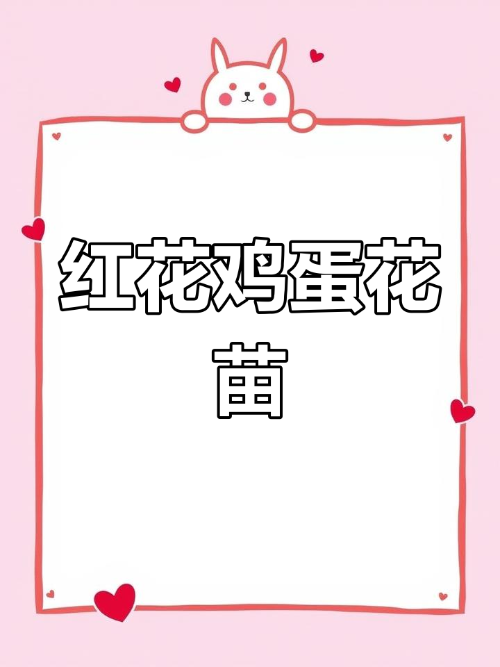 中山红花鸡蛋花苗木出售,6-7公分1100棵