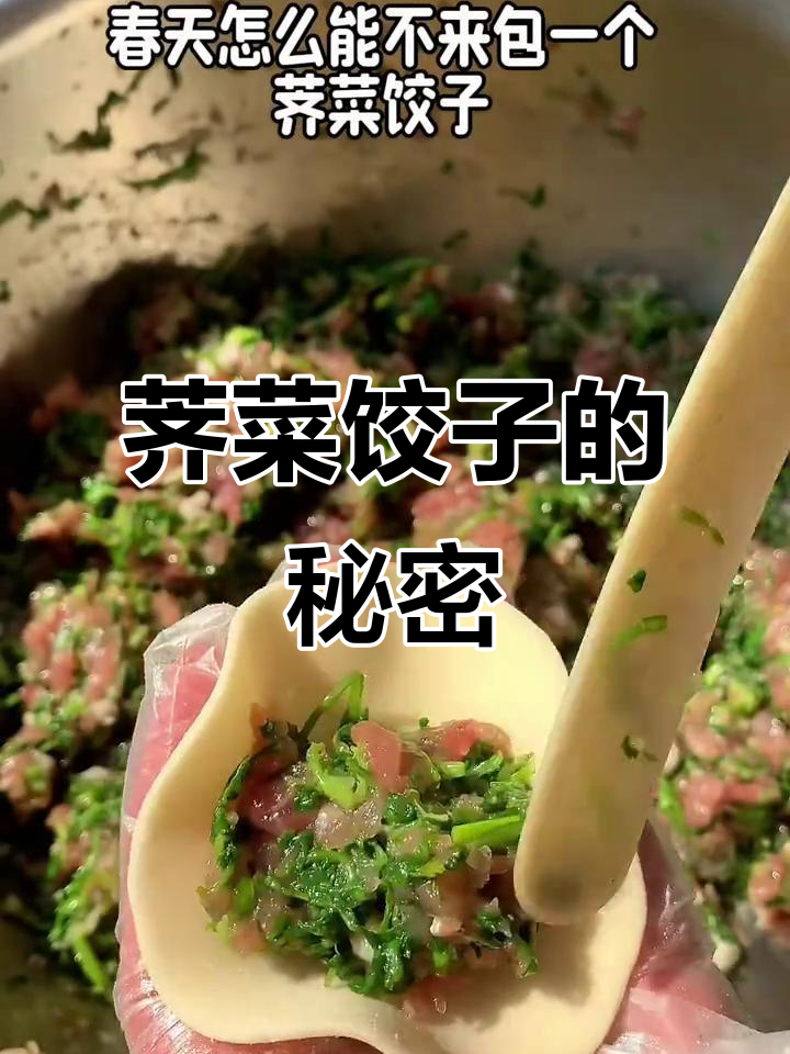 荠菜饺子馅秘方,鲜美十足,回味无穷!