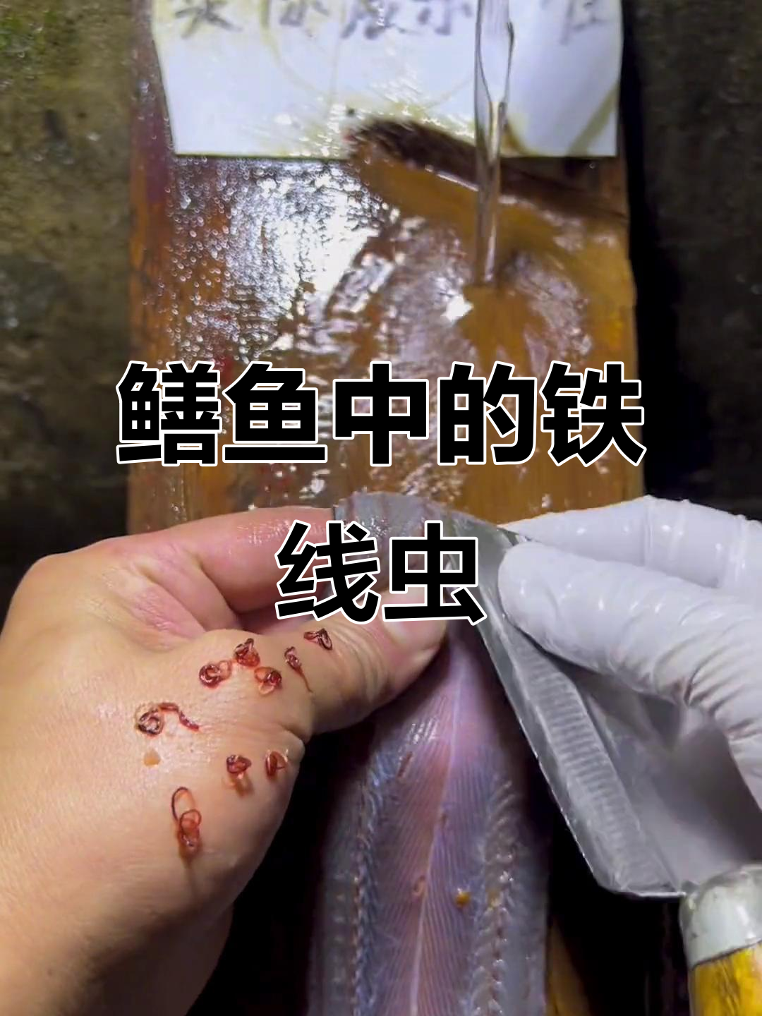 鳝鱼寄生虫惊现，铁线虫竟藏身其中！