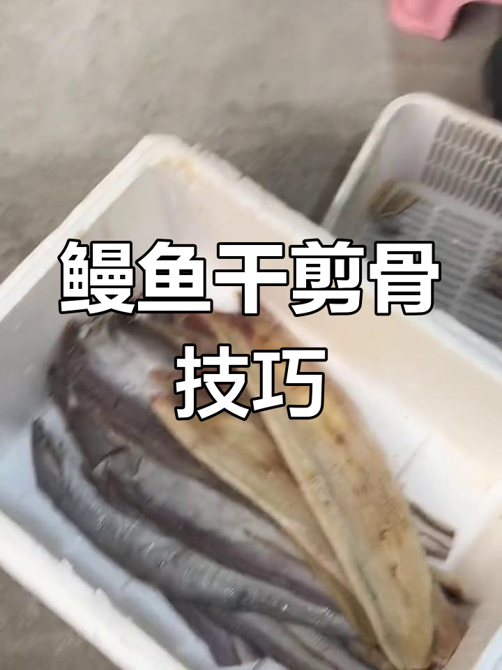 鳗鱼干剪骨去刺,轻松享受美味