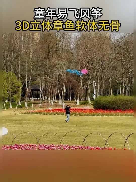 这会放风筝不用大人跑断腿啦,孩子自己也能放风筝了!