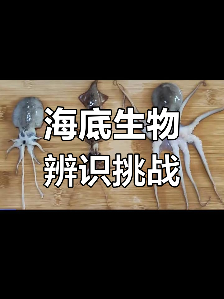 墨鱼、鱿鱼傻傻分不清?其实差别大着呢!