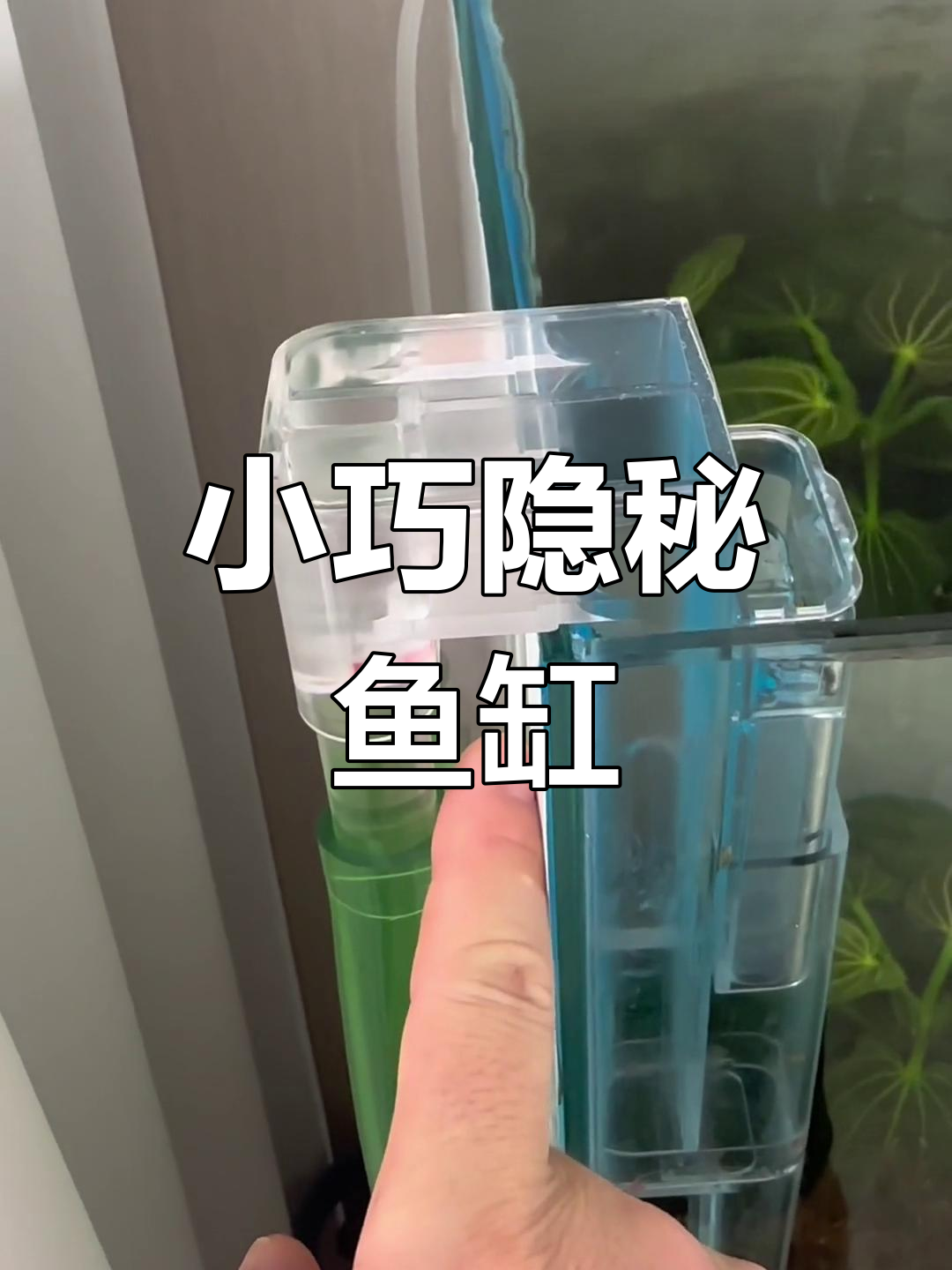 隐形进出水管设计,稳固耐用的小型鱼缸