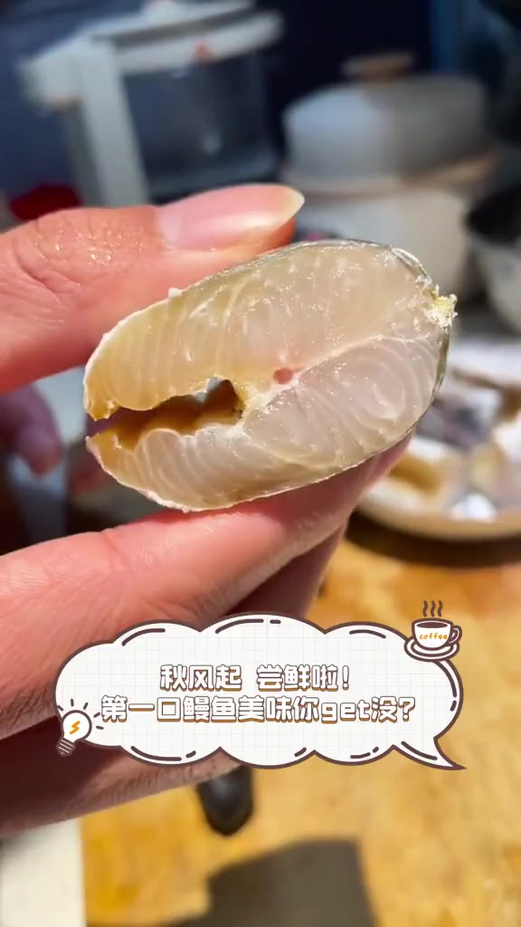 秋风起,尝鲜啦!第一口鳗鱼美味你get没?