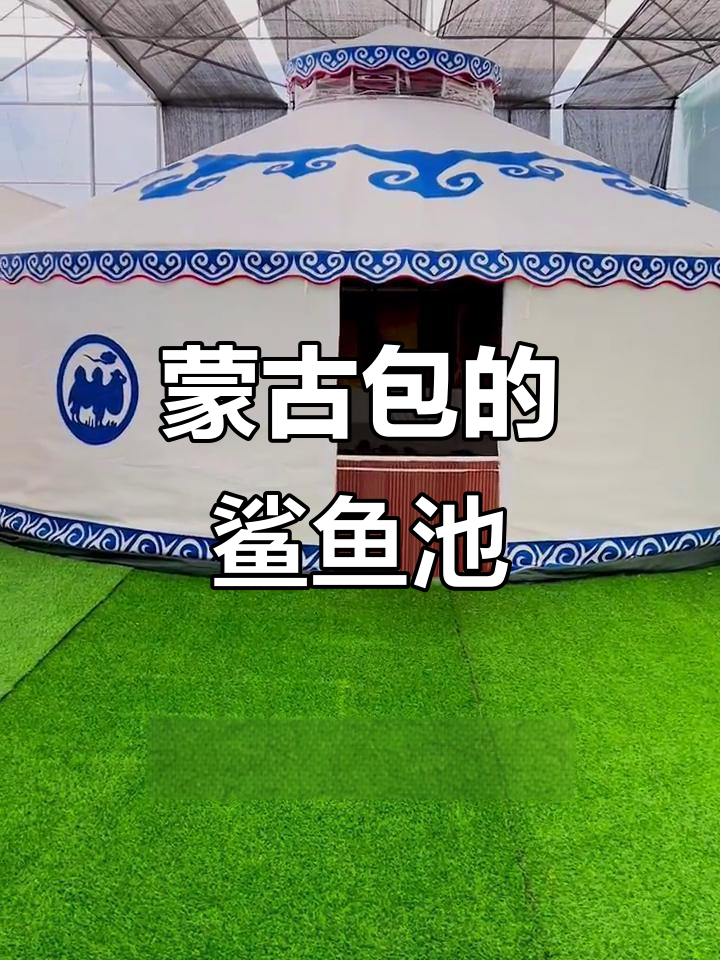蒙古包里的鲨鱼与蓝黄章鱼的奇妙共舞