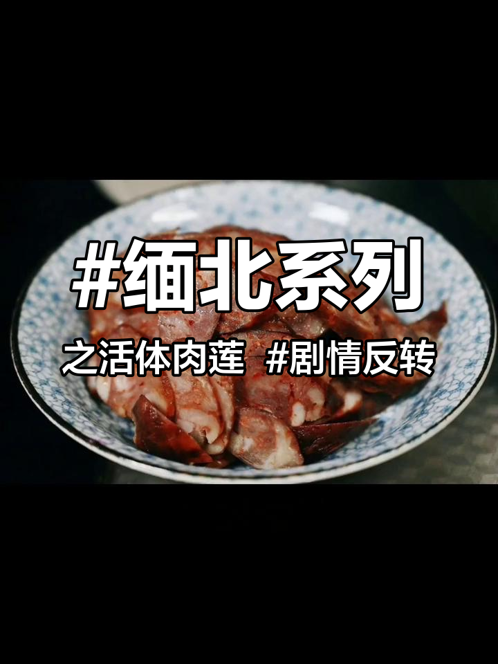 缅北系列之活体肉莲 剧情反转 书荒 缅甸 意想不到
