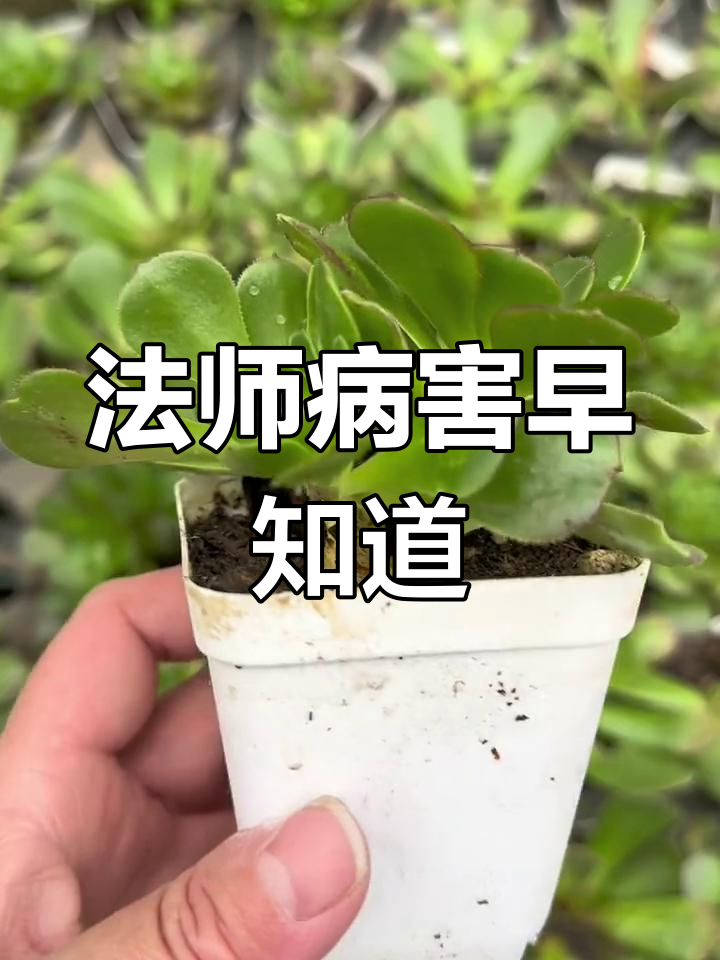 冬季法师常见病,早发现轻松应对!