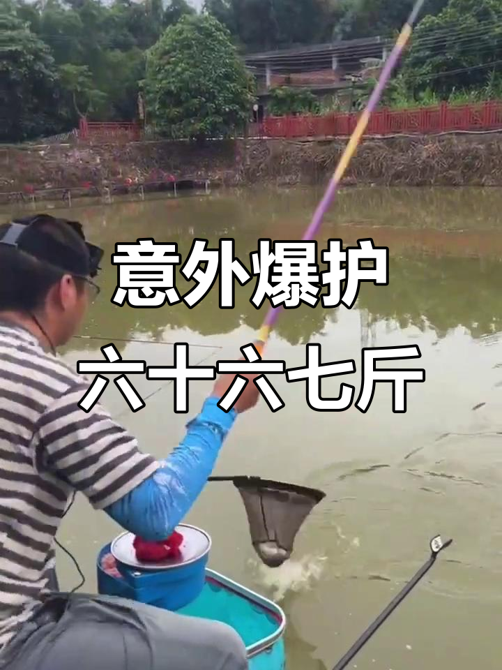 下雨天钓鱼挑战,六十七斤鱼获让人惊喜