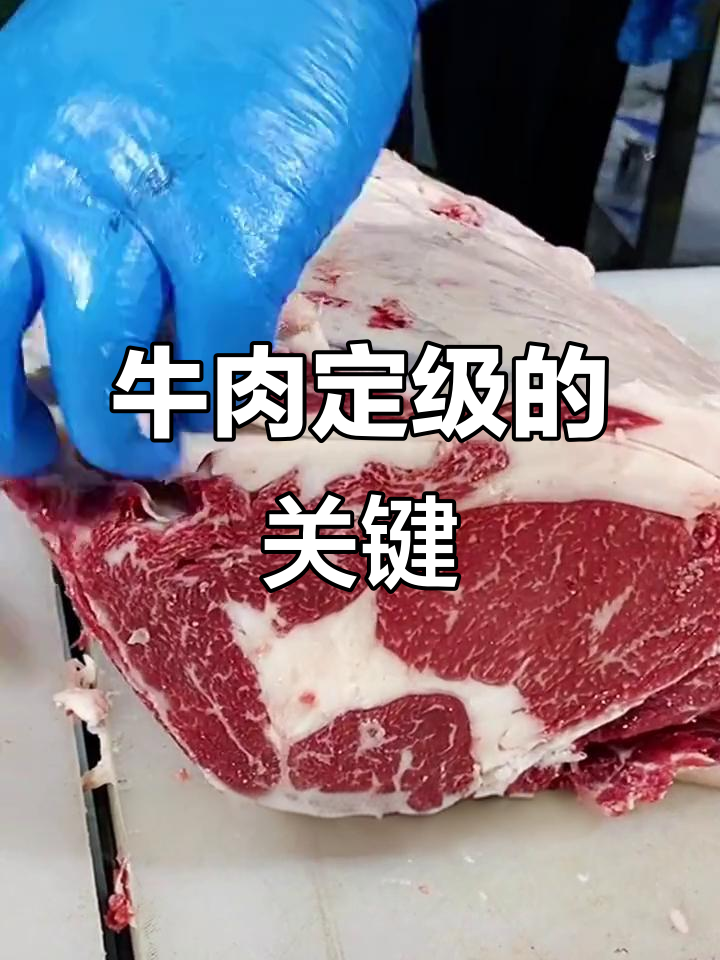 牛肉等级评定揭秘:眼肉才是关键