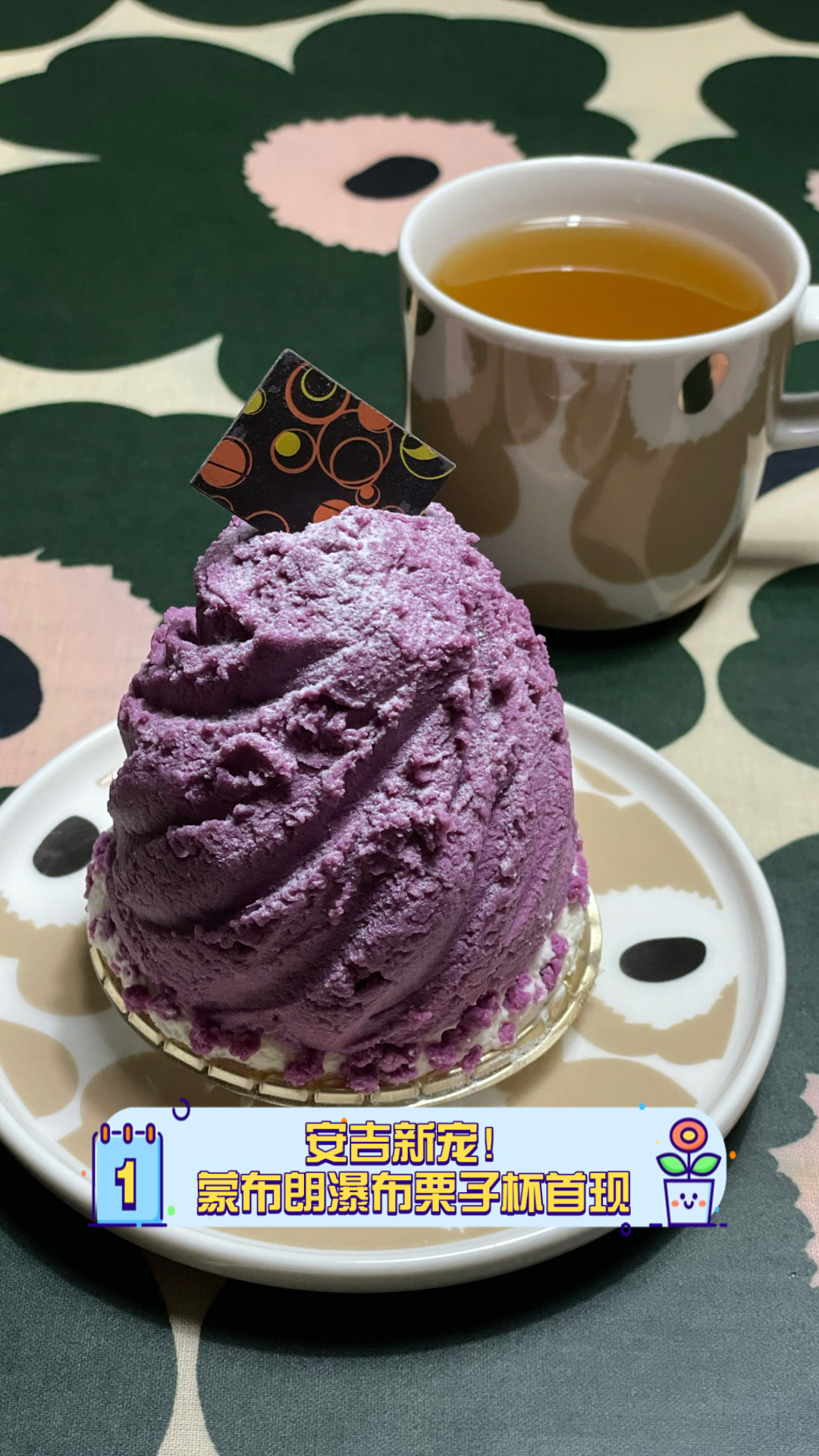 安吉新宠！蒙布朗瀑布栗子杯首现