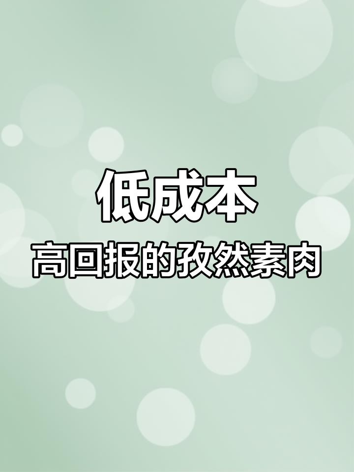 孜然素肉,小本创业新机会,家庭生产可批发零售