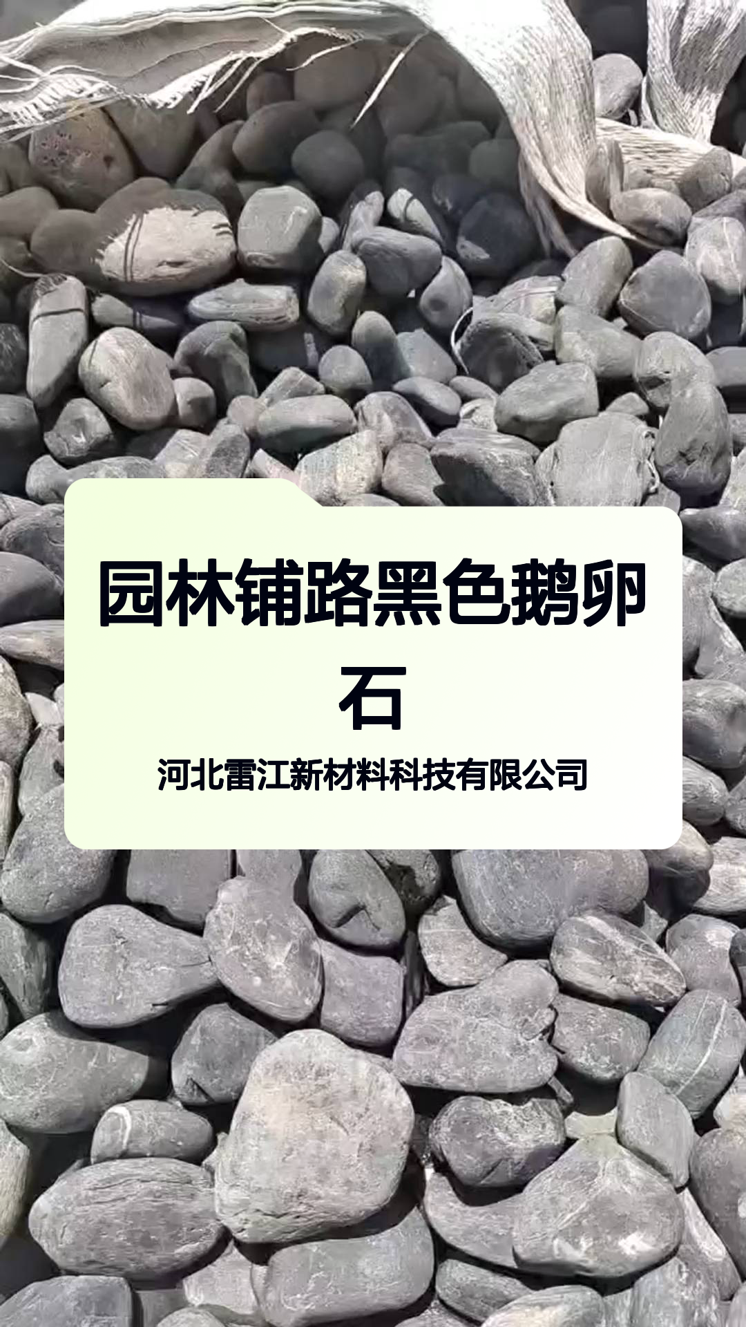 园林铺路黑色鹅卵石