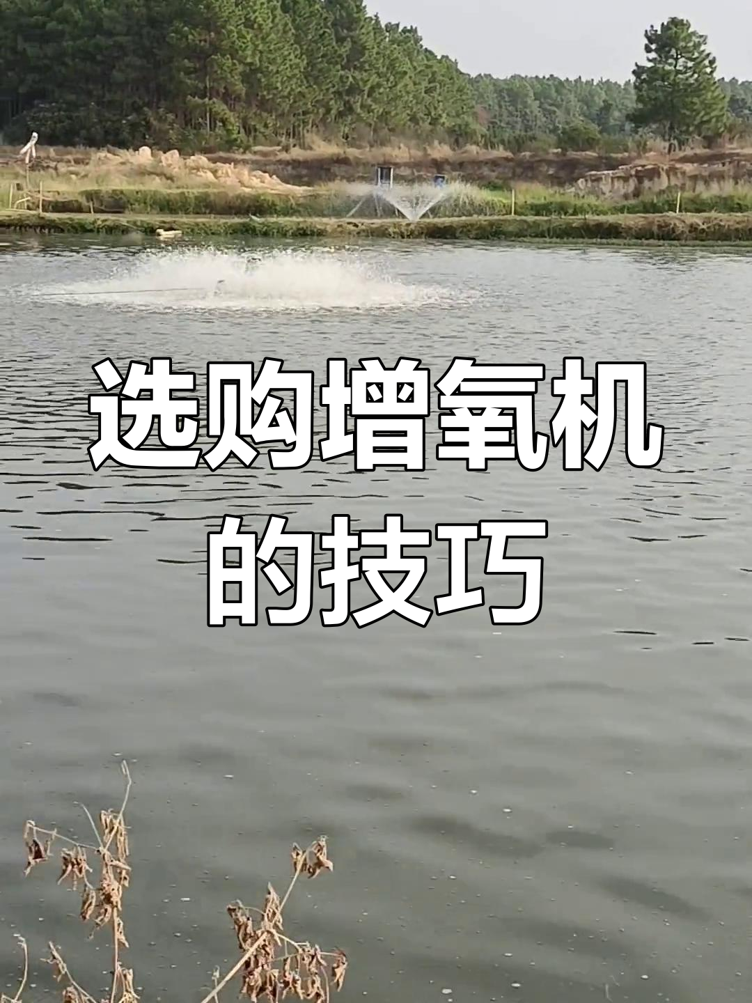 如何选择适合鱼塘的增氧机