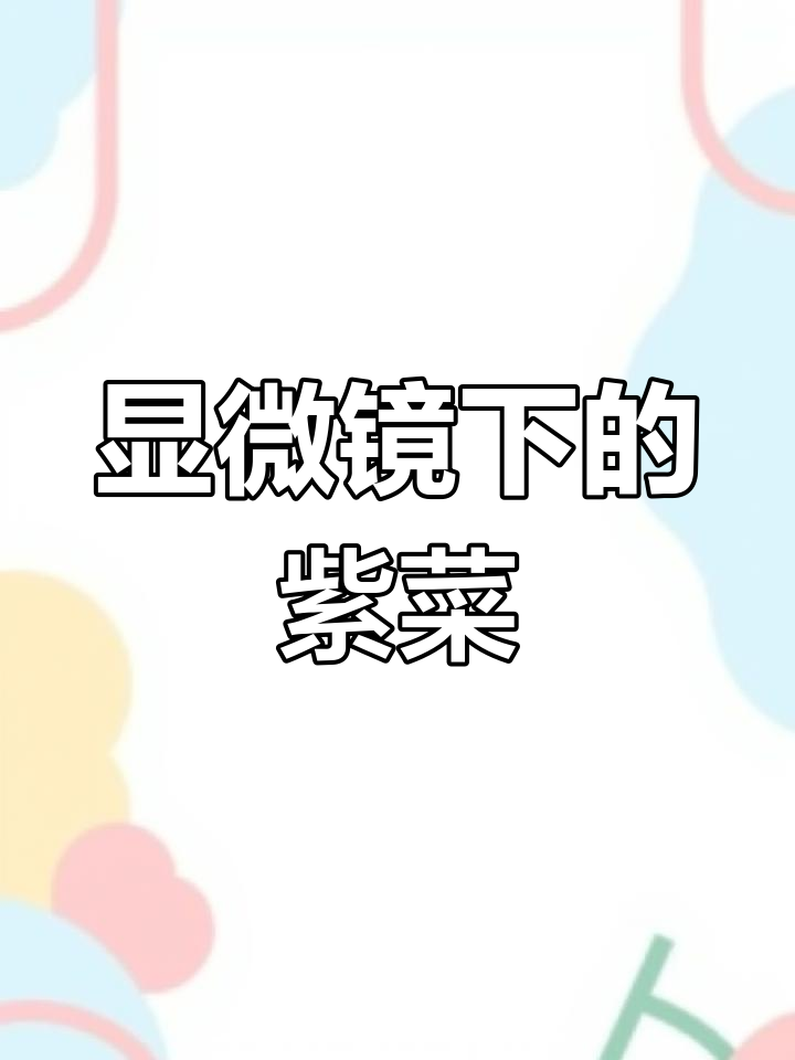 紫菜放大1000倍,细胞内藏宝石