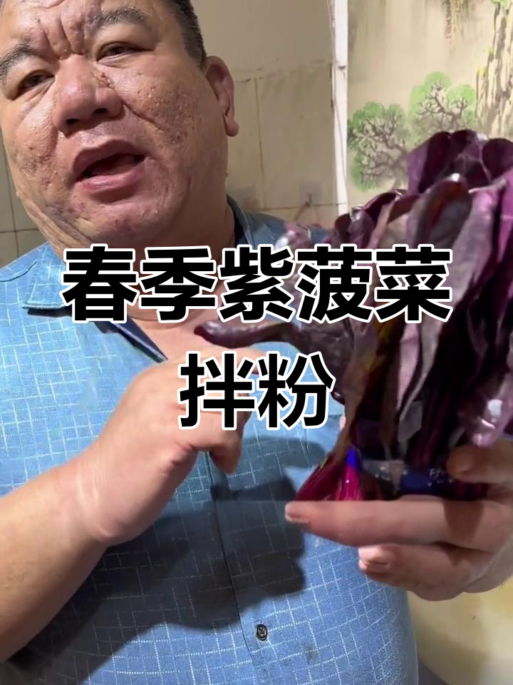 春天必吃紫菠菜拌粉丝,清爽又美味!