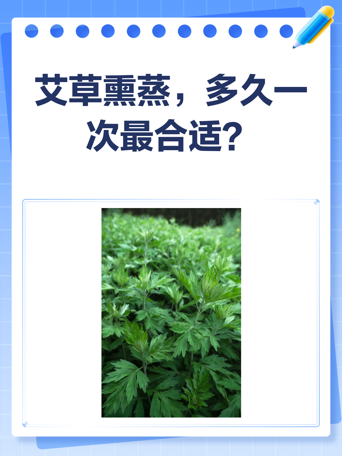 艾草熏蒸多久一次?快来get最佳频率♀