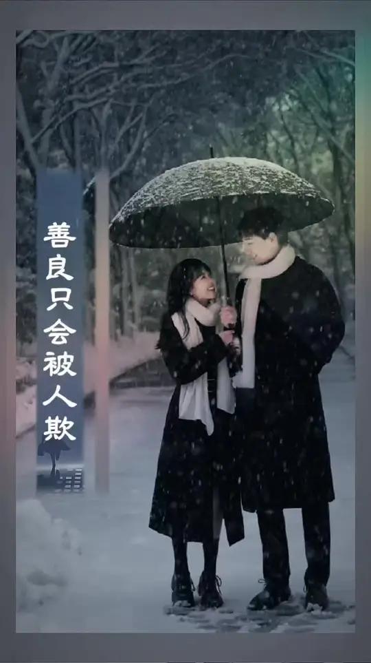 善良只会被人欺 ‖真心换不来真意,红尘故事告诉我,纷纷扰扰都是戏。动态背景歌词字幕 高级动