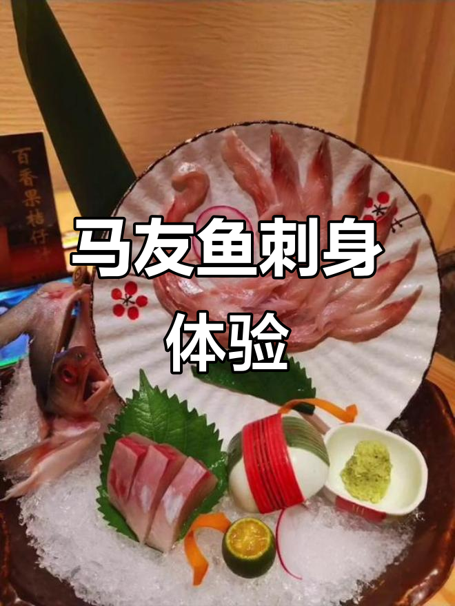 马友鱼刺身与午鱼的独特美味,鯃鱼肉质鲜嫩无比