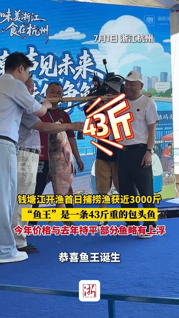 钱塘江开渔首日捕捞渔获近3000斤，“鱼王”是43斤重包头鱼