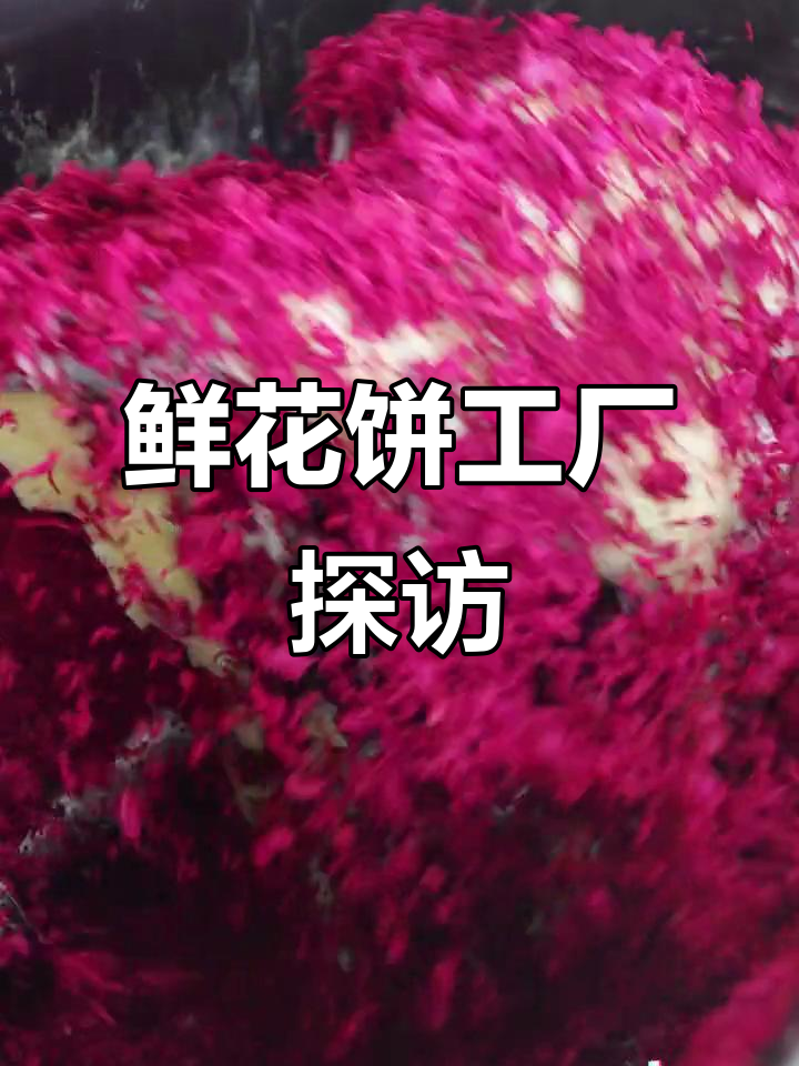 鲜花饼制作全过程揭秘:自动化生产线与人工挑选的完美结合