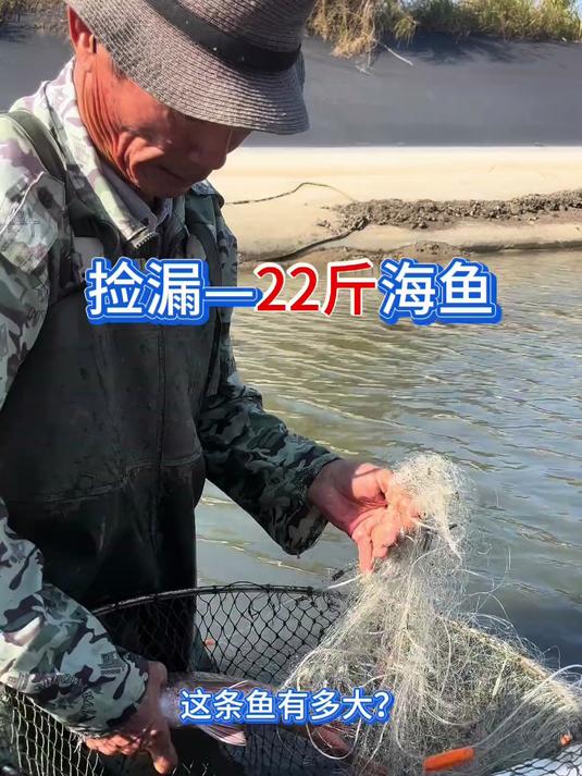 我们在海沟里捡漏，捉了二十几斤海鱼，捉鱼挺有趣的