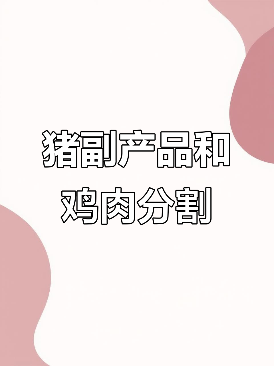 猪副产品与鸡分割工厂揭秘,食品加工背后的秘密