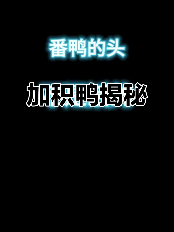 海南加积鸭:独特翻鸭品种的秘密